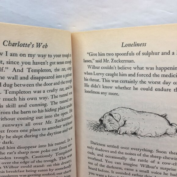 Lot 2 Kids Chapter Books Charlotte's Web Strange Thing Allen Brewster Gardiner - Picture 11 of 14